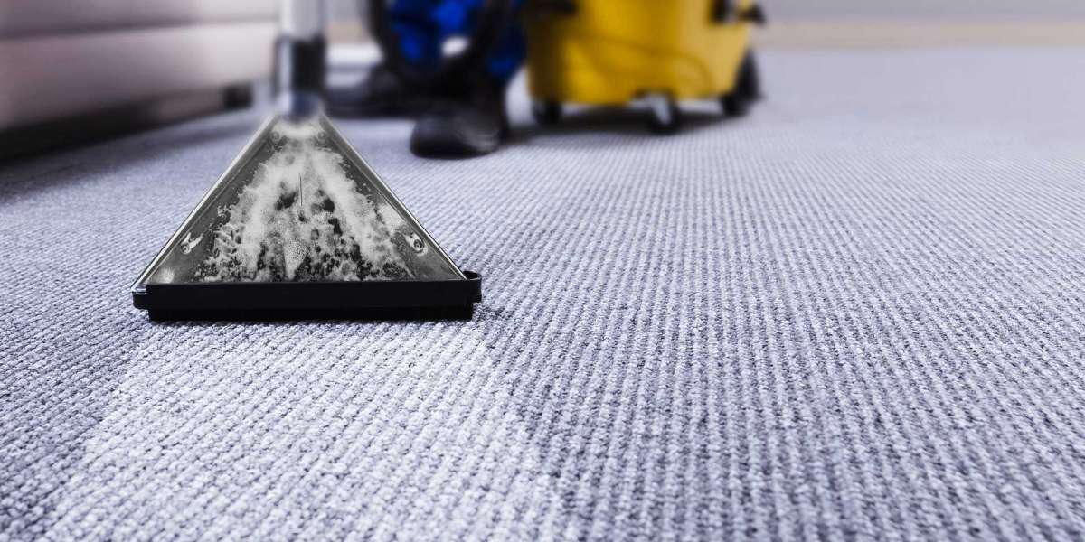 The Role of Carpet Cleaning in Preventing Carpet Wear and Tear