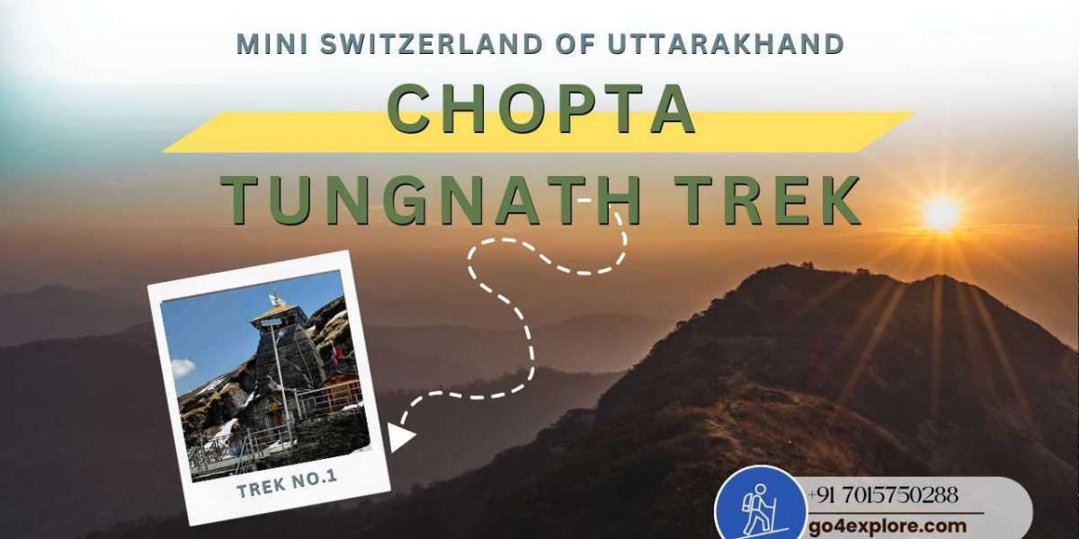 Explore Chopta Tungnath trek