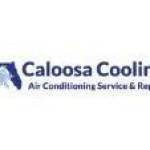 Caloosa Cooling Lee County LLC Profile Picture