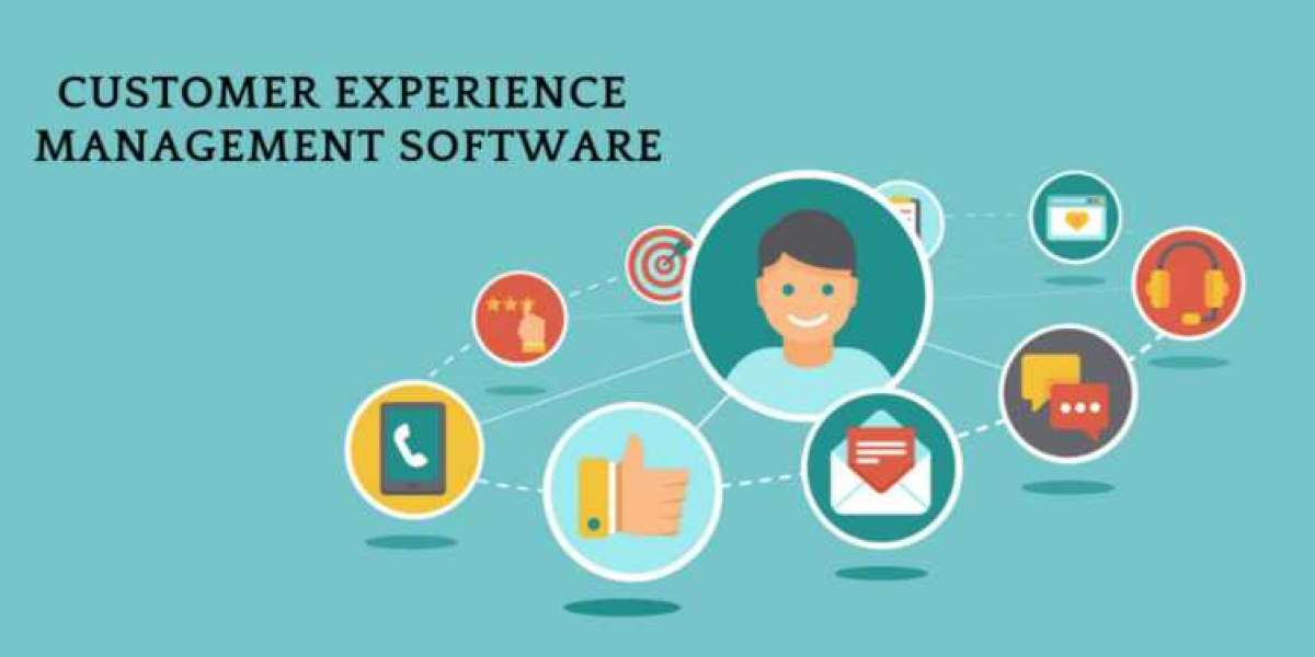 Customer Experience Management Software Market Share, Industry Report and Global Forecast 2024-2032