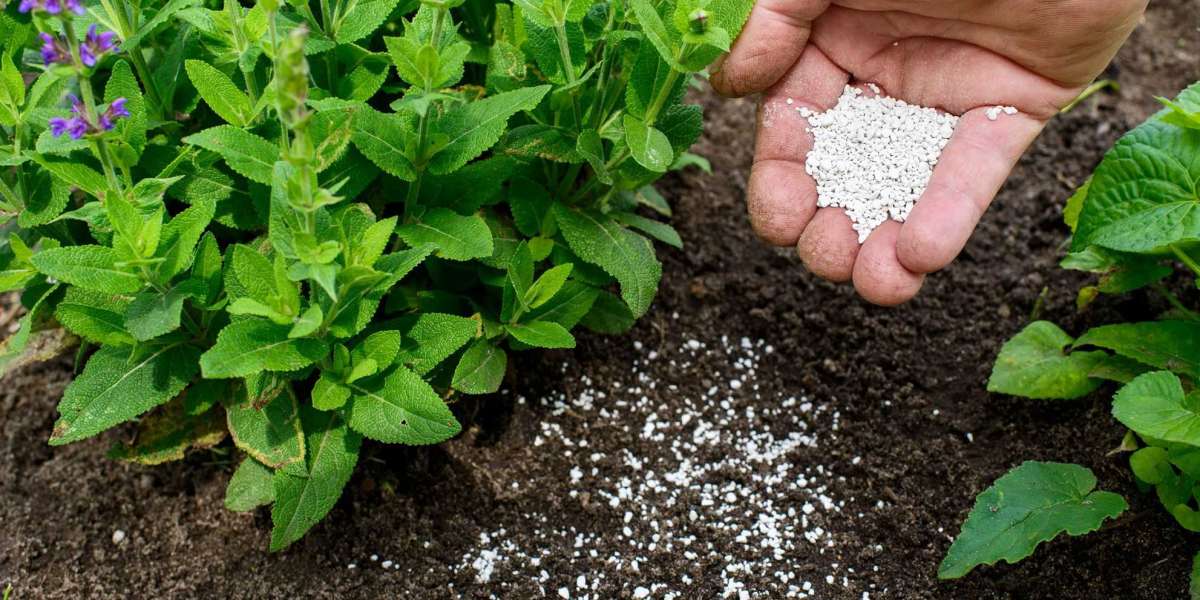 Global Fertilizer Market Size, Share, and Forecast Year To 2030