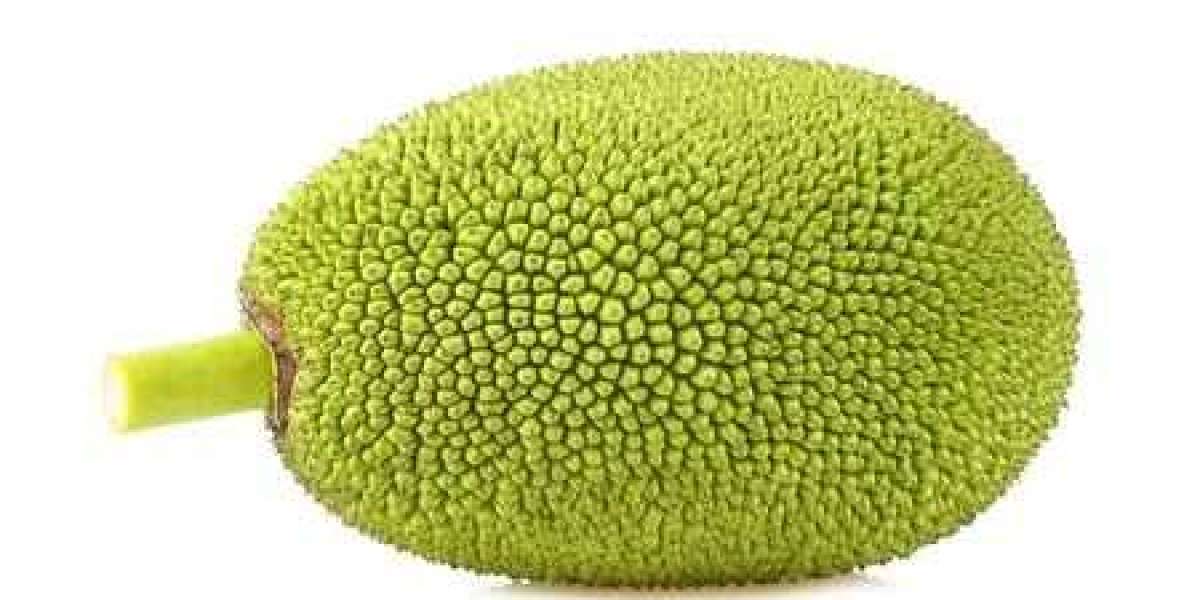 Jackfruit Processing Plant Project Report, Machinery Requirements, Raw Materials, Cost and Revenue