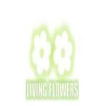livingflowers Profile Picture