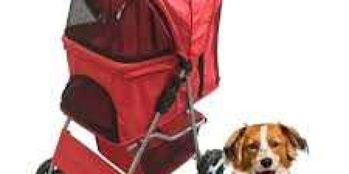 The Rise of Pet Strollers: A Convenient Solution for Modern Pet Owners