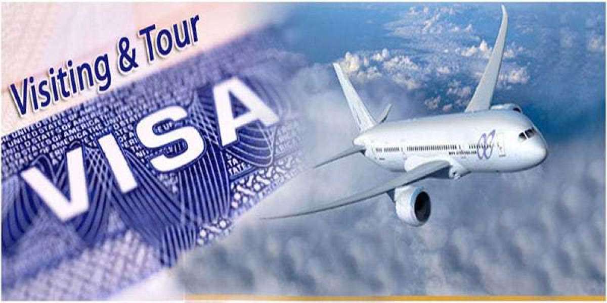 Fly High Abroad: Your Ultimate Partner for Global Immigration and Visa Services