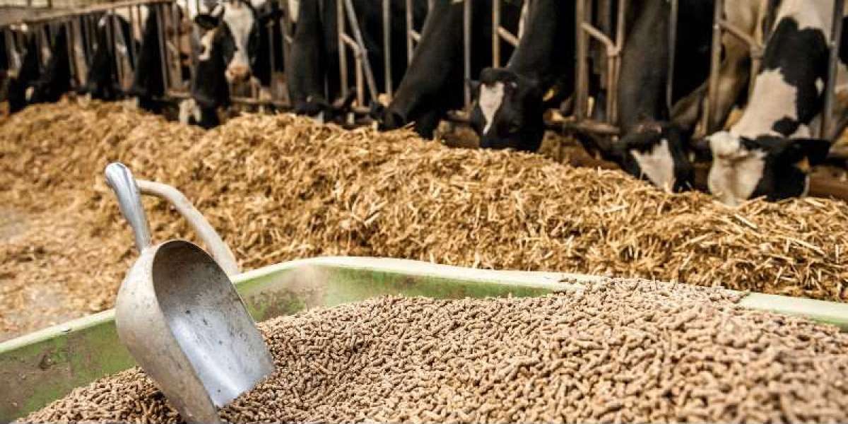 Zinc Micronutrient for Animal Feed Market Size, Share, Analysis and Report 2024-2032