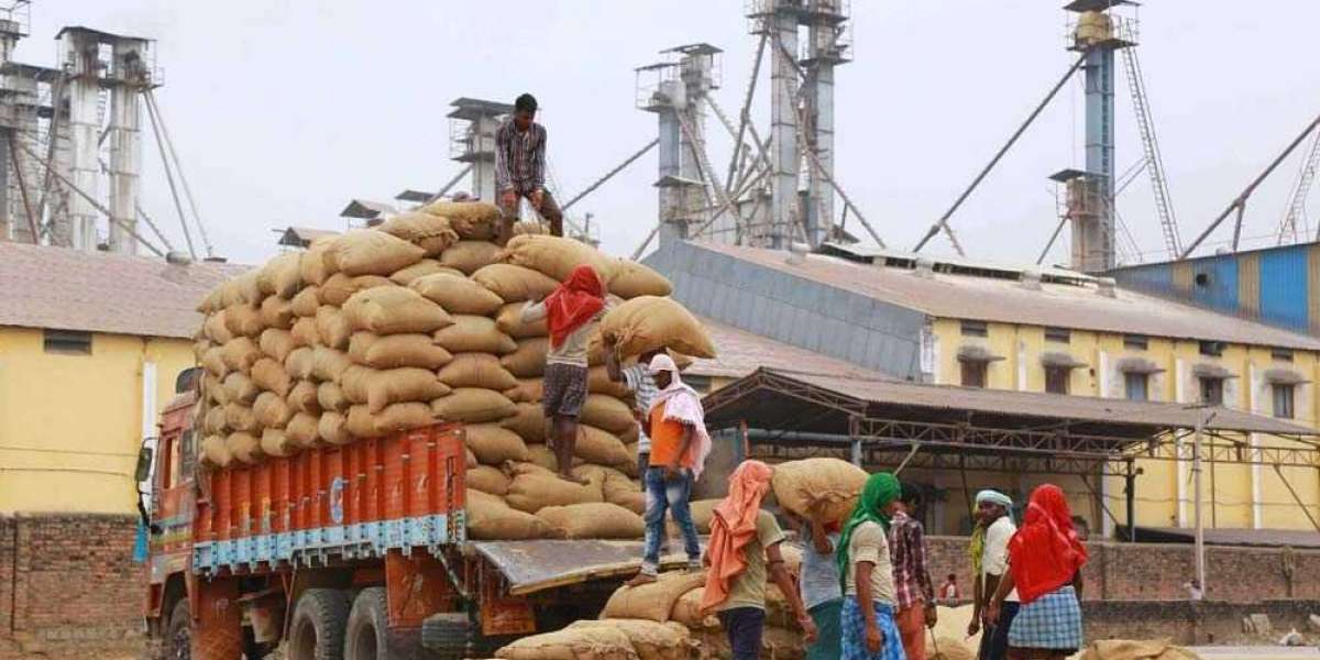 A Comprehensive Overview of Rice Exporting Companies in India