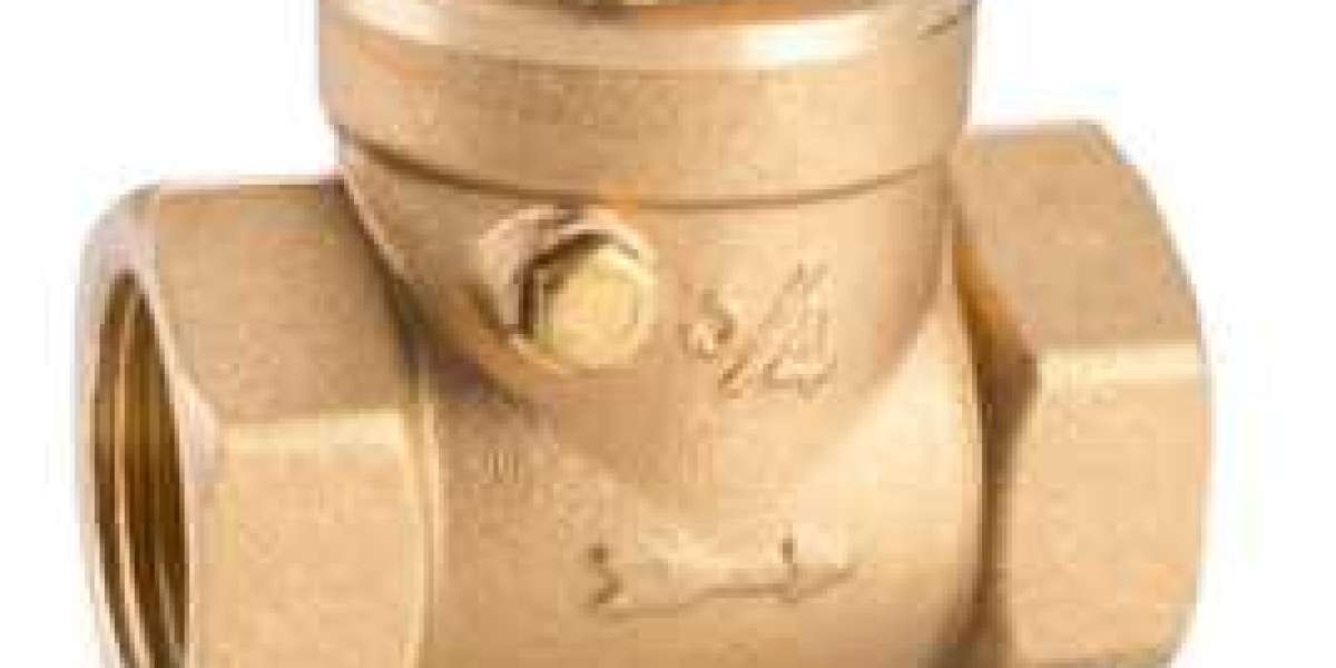 Brass Check Valve Manufacturers