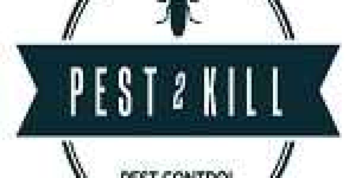 Pest2Kill: Your Trusted Partner in Pest Control Services