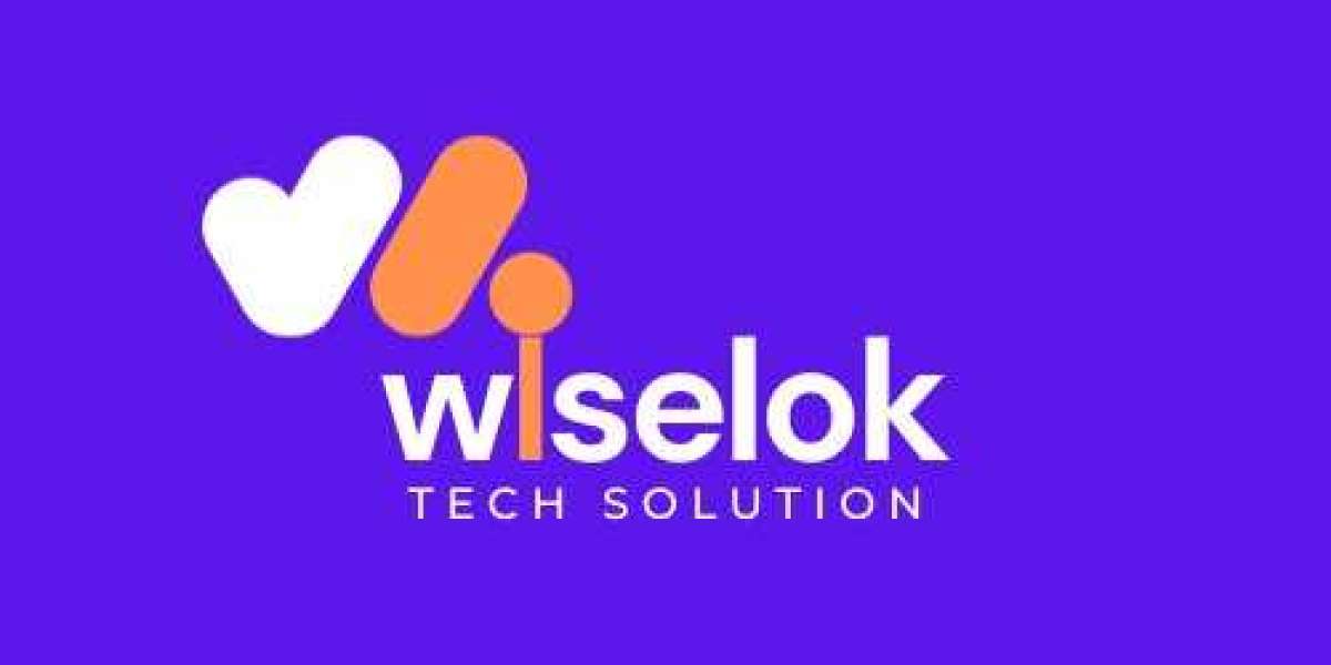 Website designer in Jaipur -  Wiselok Tech Solution