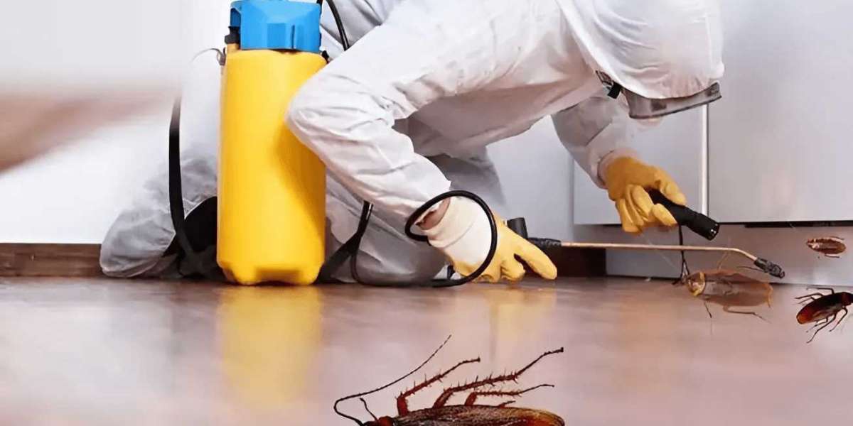 Top 5 Cockroach Control Treatment Methods for 2024