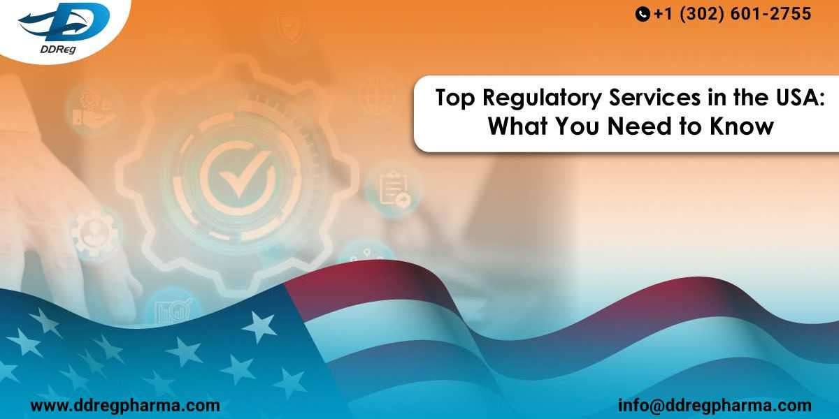 Top Regulatory Services in the USA: What You Need to Know