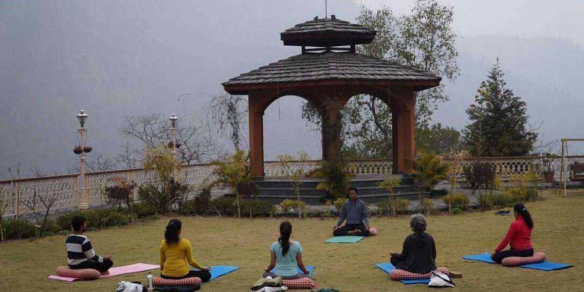 Find Yourself A Beginner's Guide to Yogpeeth Rishikesh