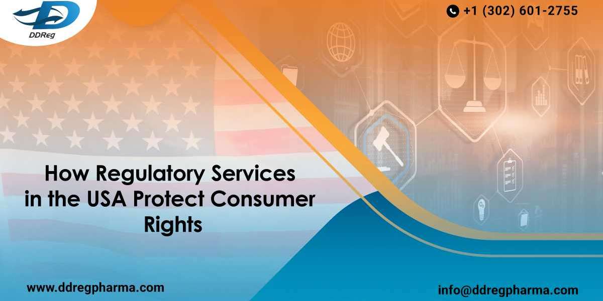 How Regulatory Services in the USA Protect Consumer Rights