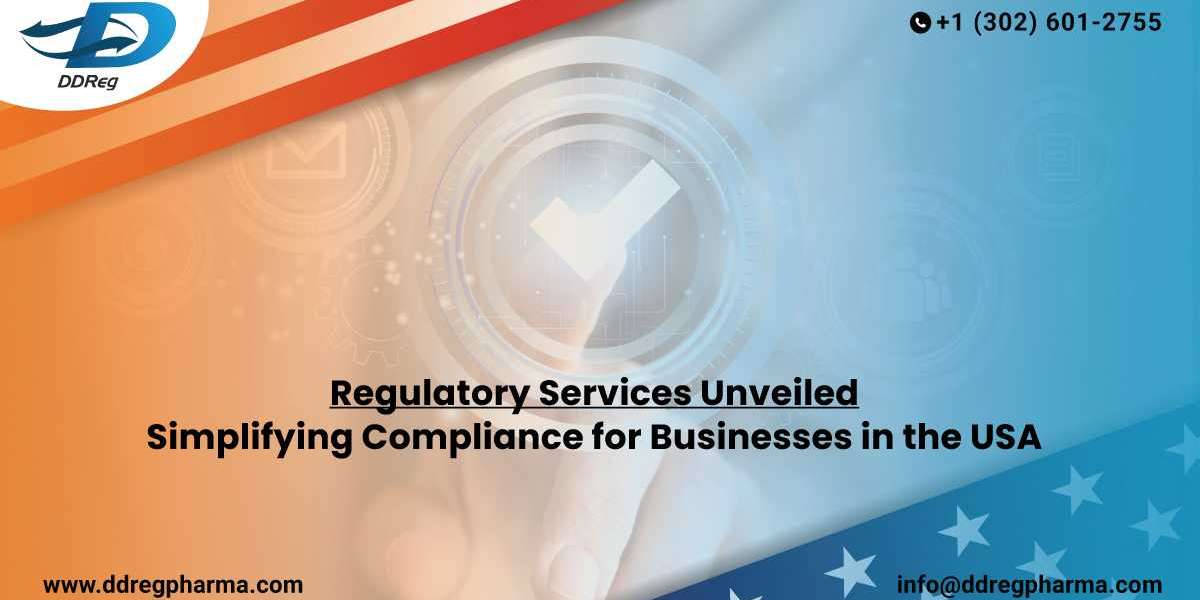 Understanding the Scope of Regulatory Services in the USA for Importers