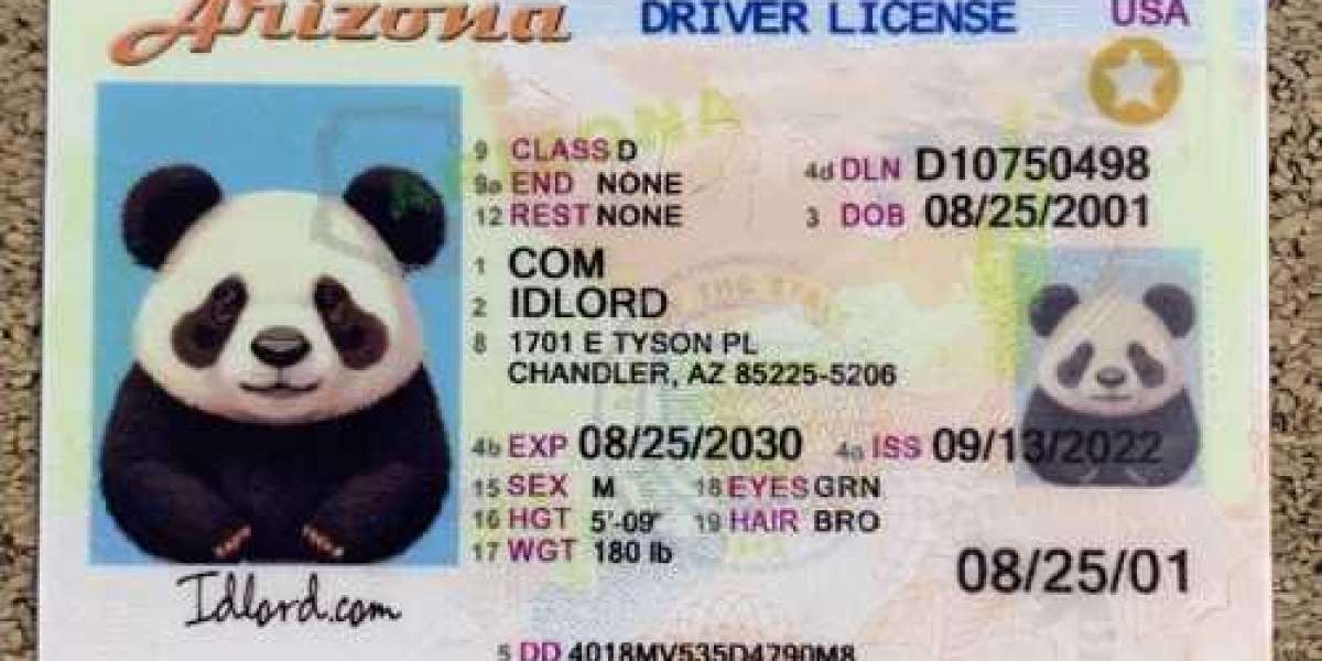 Ultimate Guide to Crafting a Fake Arizona Driver's License