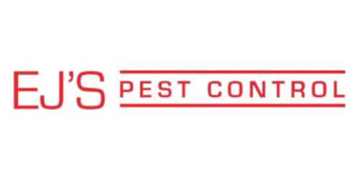 Searching for the Best Cockroach Exterminator in Washington DC?