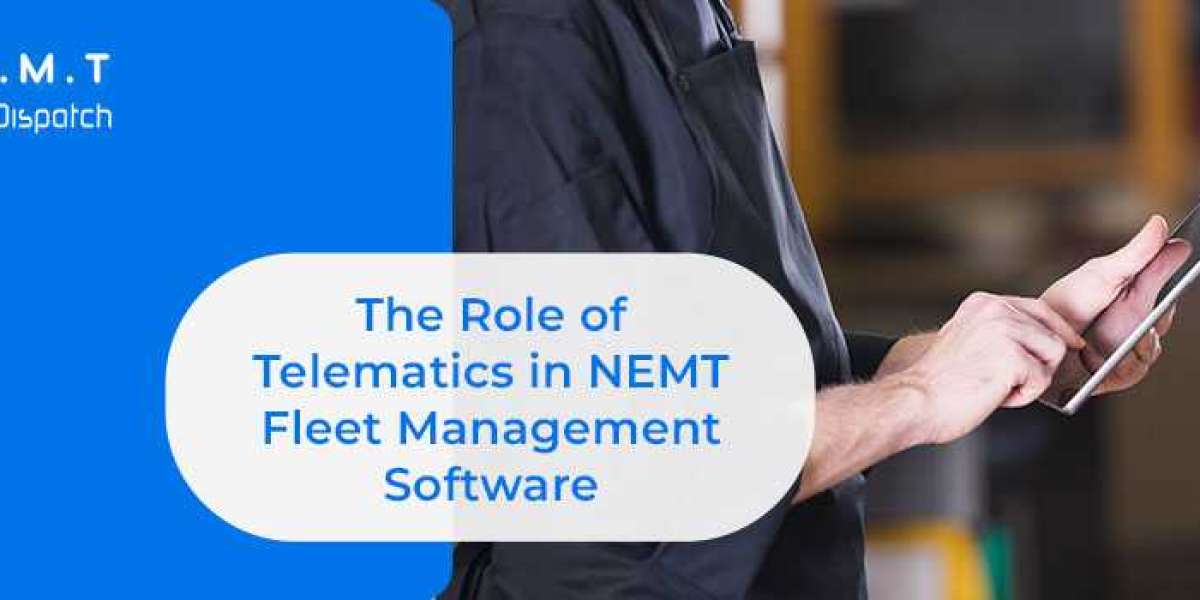 The Role of Telematics in NEMT Fleet Management Software