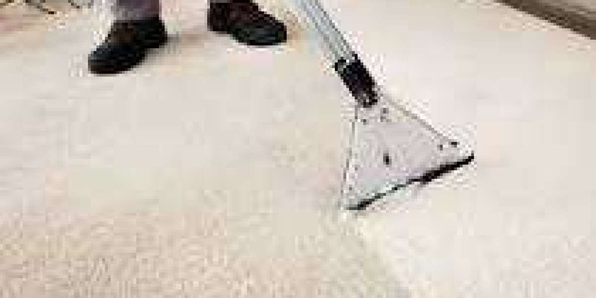 The Comfort Benefits of Consistent Professional Carpet Cleaning