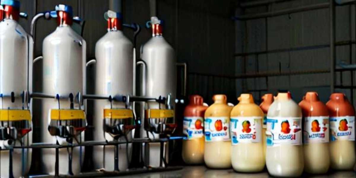 Fruit-Flavored Milk Drink Manufacturing Plant 2024: Business Plan, Project Report, Plant Setup and Industry Trends