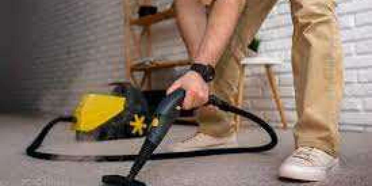 Professional Carpet Cleaning: A Key Player in Home Visual Elegance