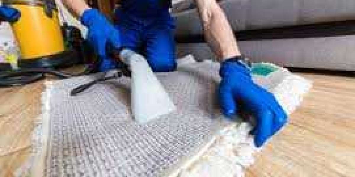 How Professional Carpet Cleaning Services Enhance Home Comfort