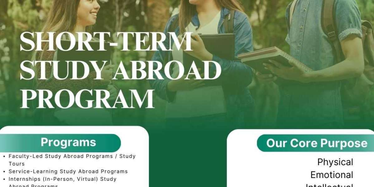 Top Study Abroad Programs for Language Immersion