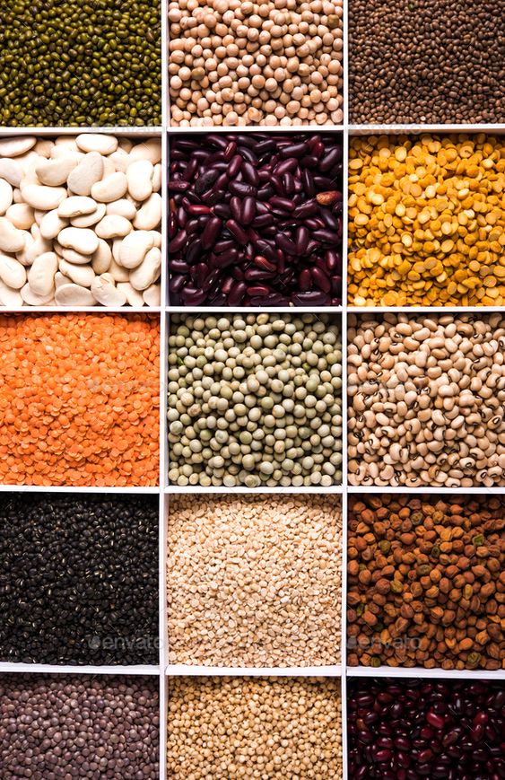 AP Pulses – Best Pulses Manufacturer In India