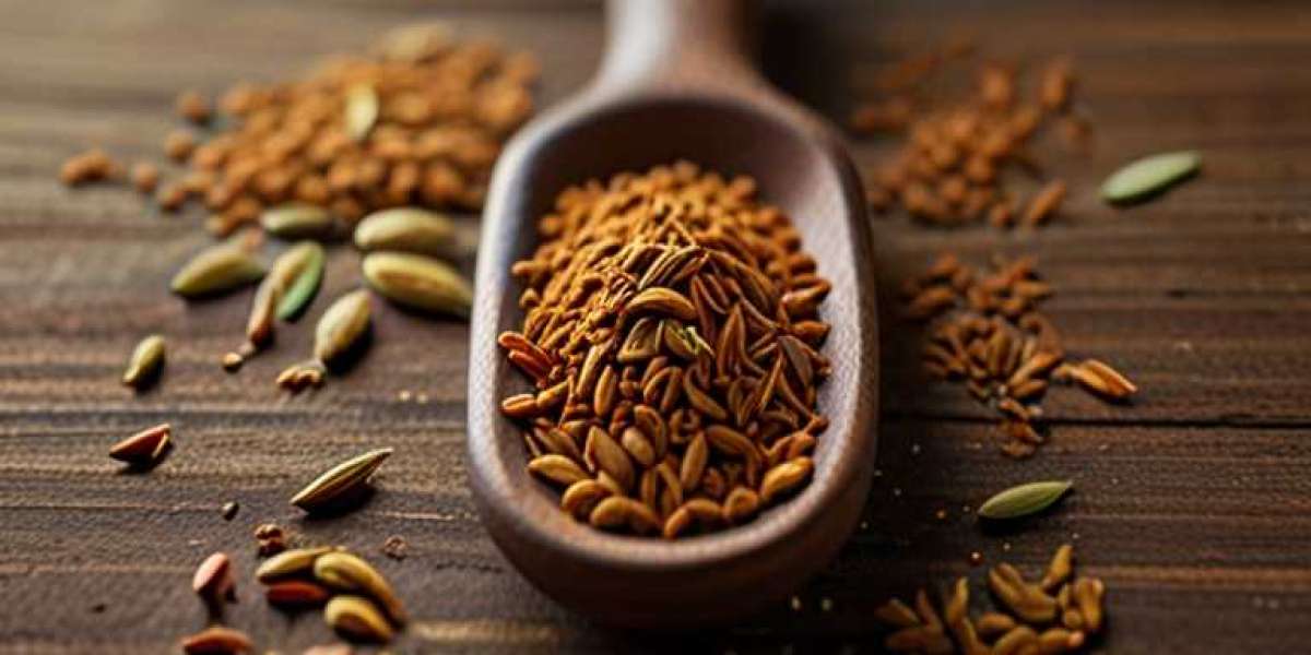 Cumin Processing Project Cost 2024: Plant Setup and Industry Trends