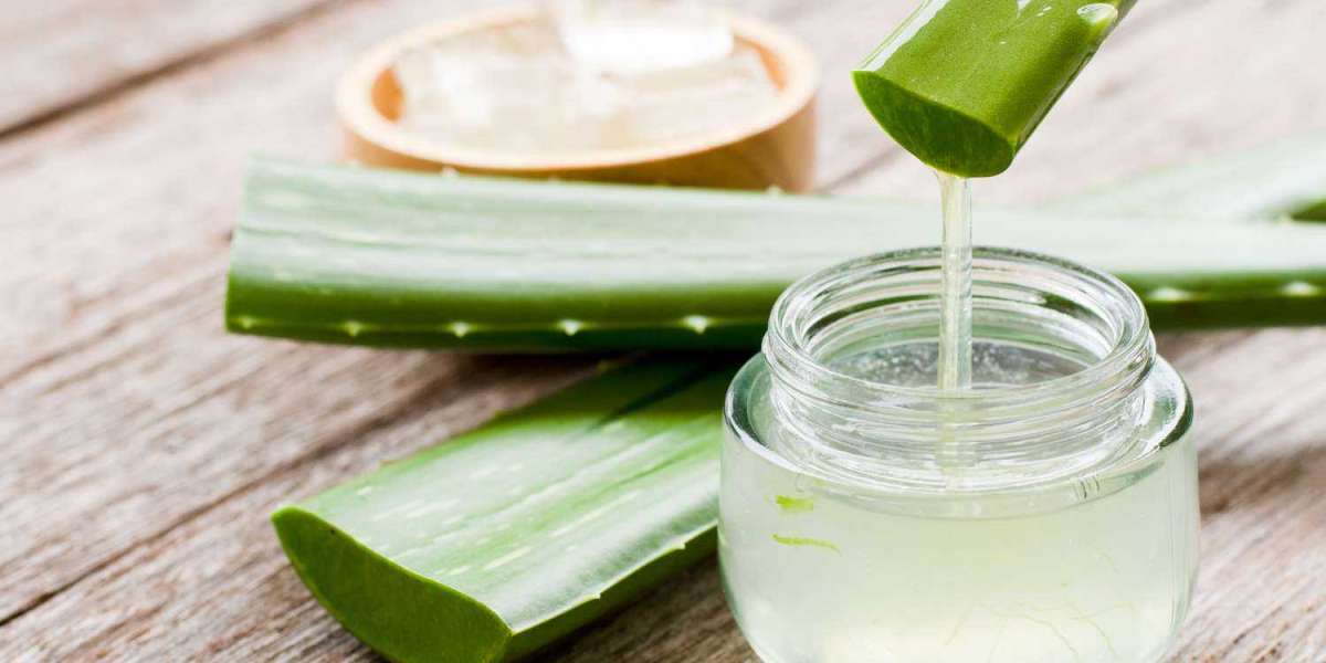 Aloe Vera Gel Manufacturing Plant 2024: Detailed Project Report, Raw Materials Requirements, Cost and Revenue