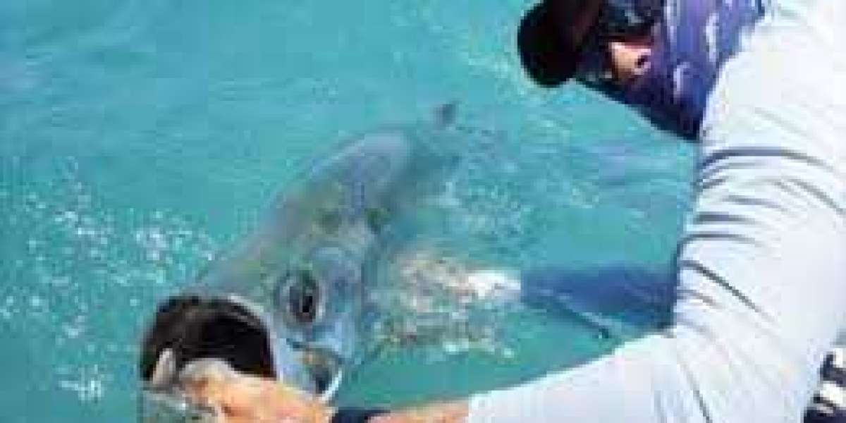 Top Benefits of Booking a Florida Fishing Charter!!!