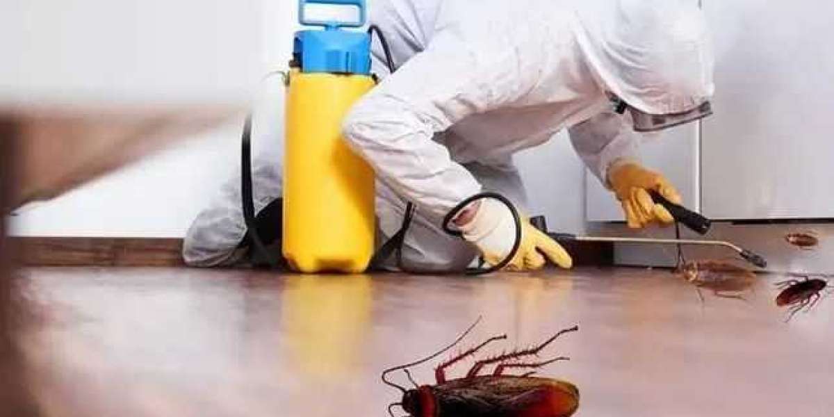 Best Pest Control Methods to Safeguard Your Home from Infestations