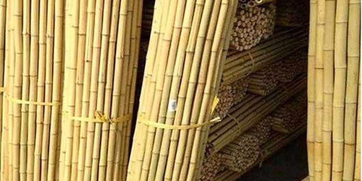 The Versatile Uses of Small Bamboo Stakes in Your Garden: A Guide to Eco-Friendly Plant Support