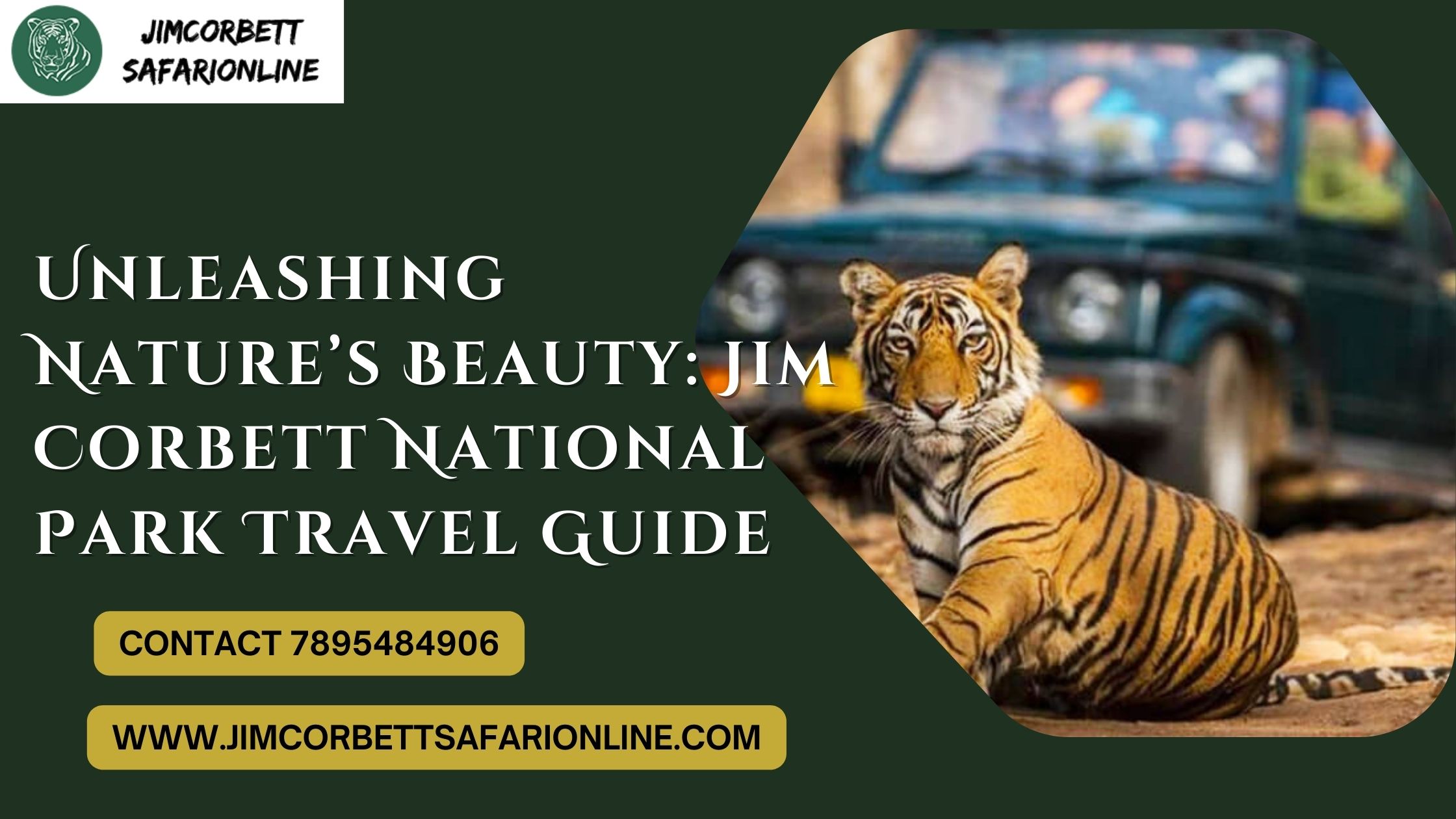 Unleashing Nature’s Beauty: Jim Corbett National Park Travel Guide – Jim Corbett Safari Online