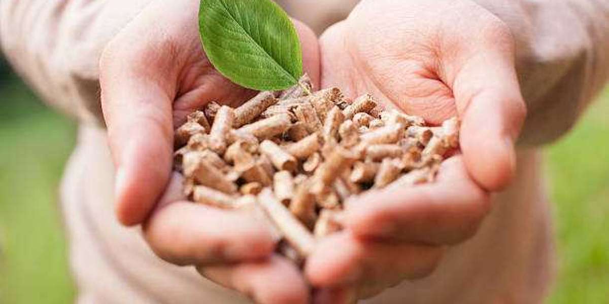 Biomass Pellets Manufacturing Plant Project Report 2024: Strategic Planning, Plant Setup, Cost and Revenue