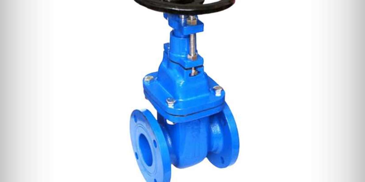 Non Return Valve Manufacturer and Exporter in India