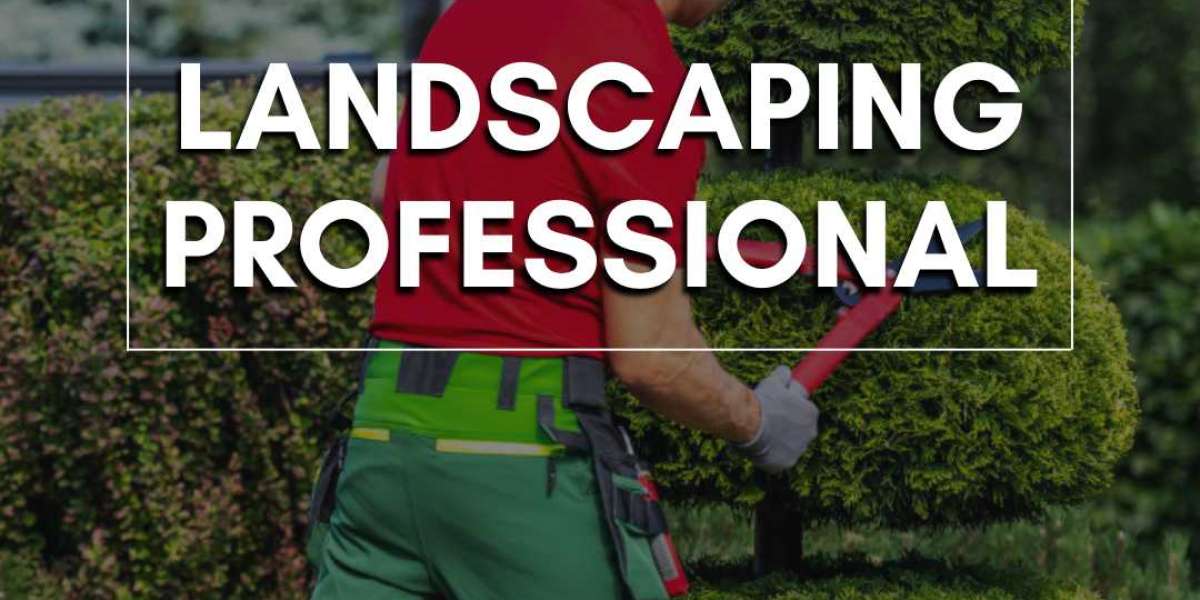 Professional Garden Care: Nurturing Your Green Spaces