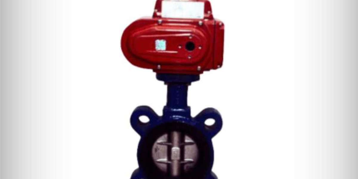 Butterfly Valves Manufacturers and Suppliers in India