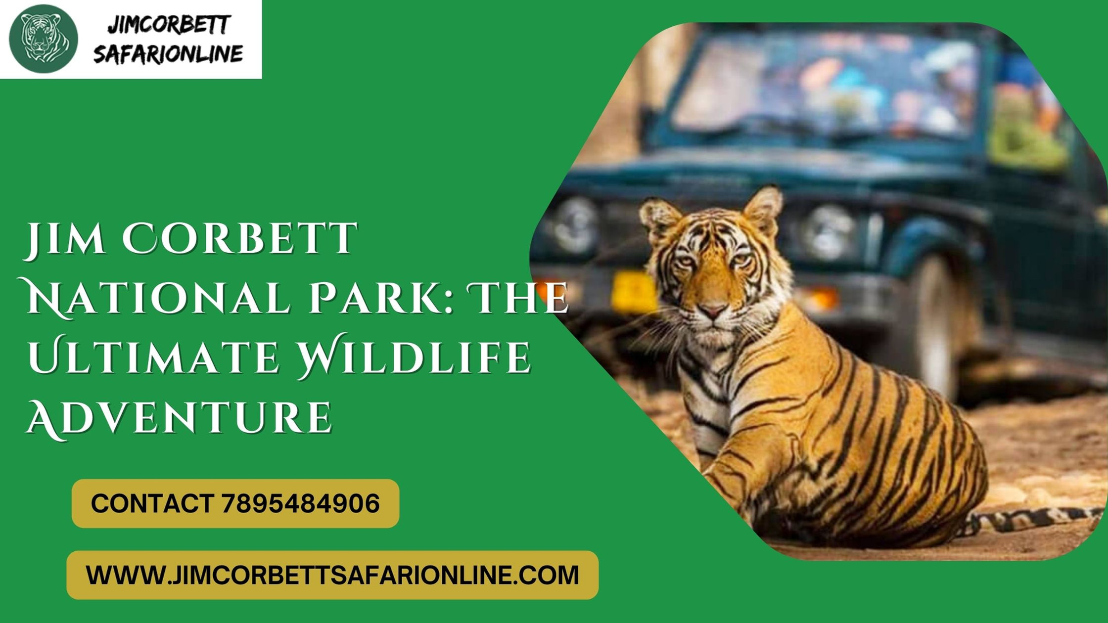 Jim Corbett National Park: The Ultimate Wildlife Adventure