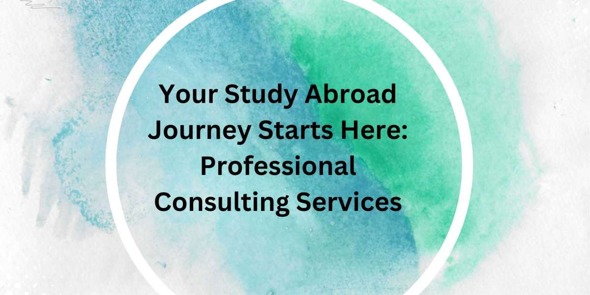 Your Study Abroad Journey Starts Here: Professional Consulting Services