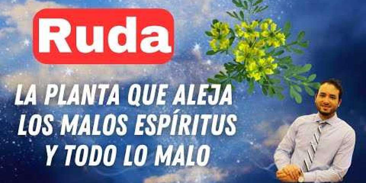 Descubre los Poderes Ocultos de la Infusión de Ruda: Beneficios y Propiedades Sorprendentes