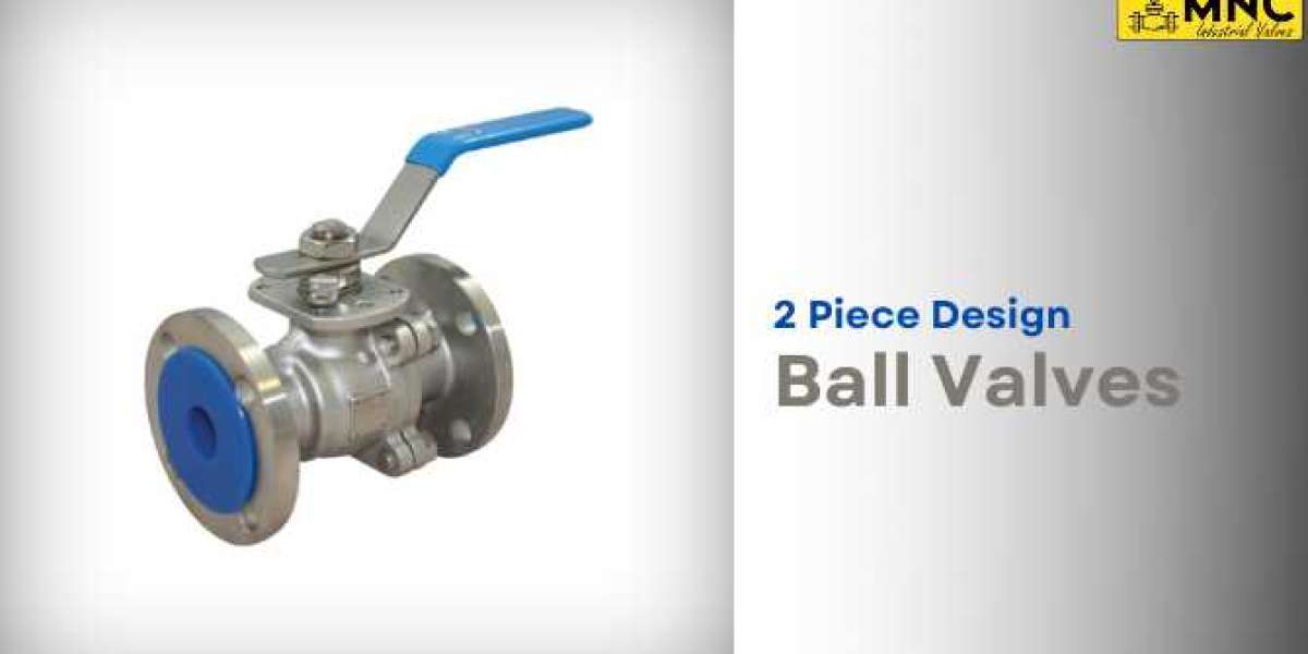 2 Piece Design Ball Valve Exporter in Ahmedabad Gujarat