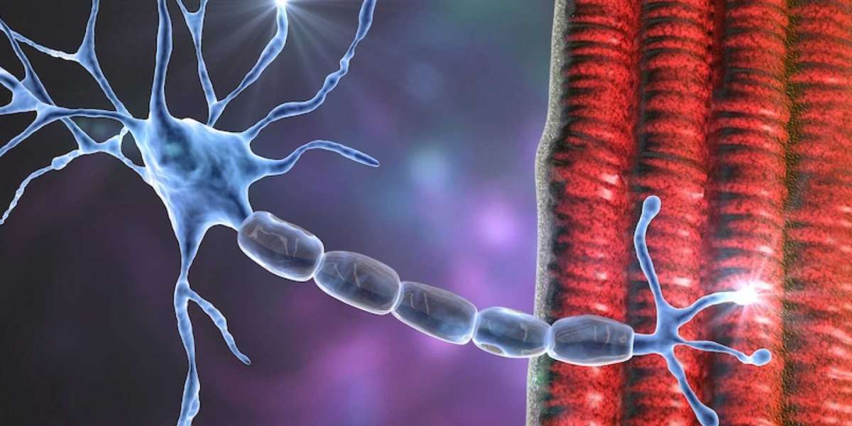 Amyotrophic Lateral Sclerosis (ALS) Market Share, Epidemiology, Analysis & Trends 2024-2034