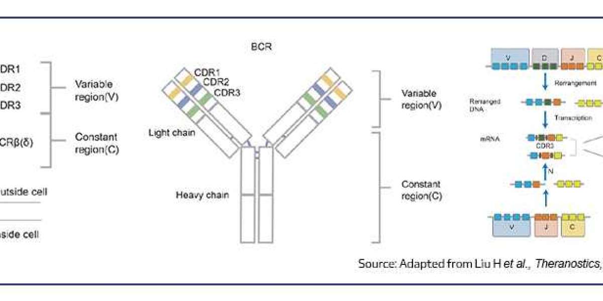 Unlocking Microbial Mysteries: The Role of Amplicon and Metagenomics Sequencing