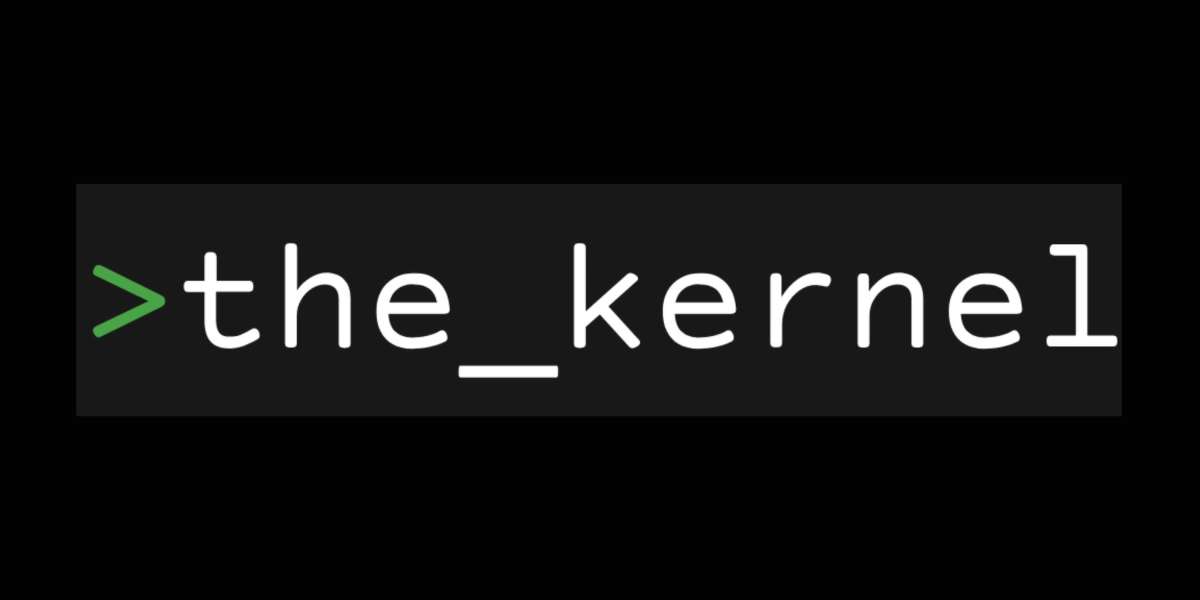 The Kernel: The Leading Cyber Security Distributor in Dubai