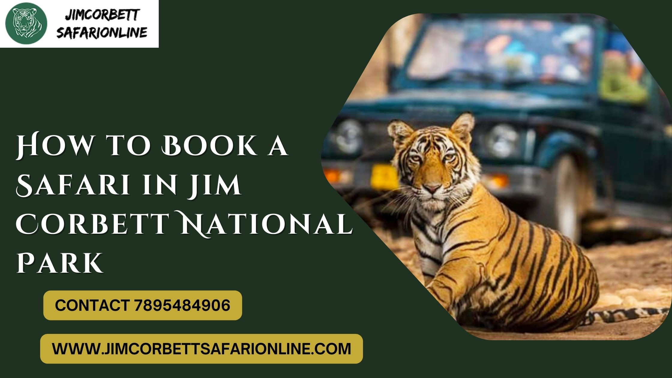 How to Book a Safari in Jim Corbett National Park