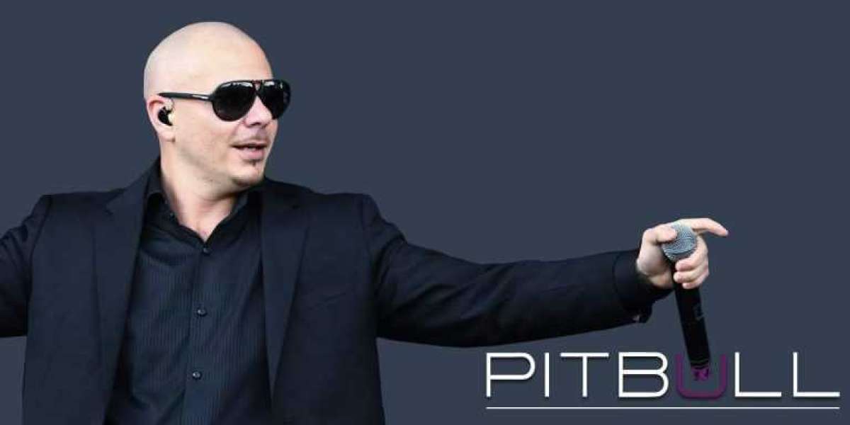 What is Pitbull’s Networth?