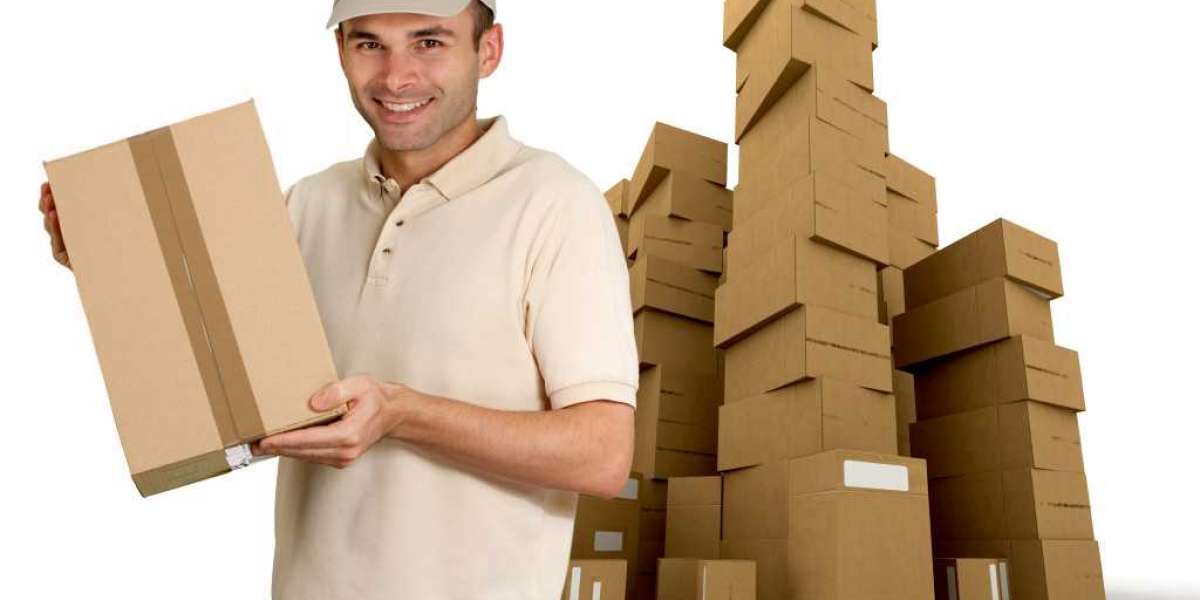 Best Packers and Movers in Bangalore: Your Ultimate Guide