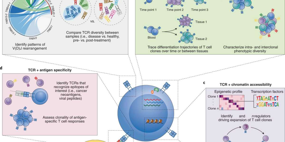 Unlocking Immune Insights with Adaptive TCR Sequencing: A New Frontier in Immunology