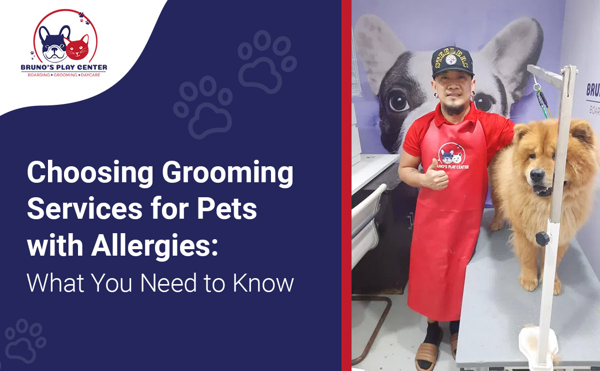 Pet Grooming Services for Pets with Allergies: Essential Tips